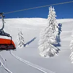 Sonnberg 4* 플라차우