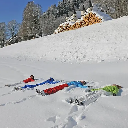 Sonnberg Lejlighedshotel Flachau